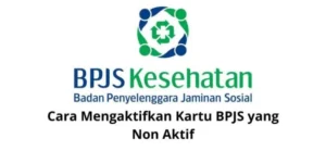 Cara Mengaktifkan Kembali Peserta BPJS Nonaktif dan Solusi CSR Pemerintah