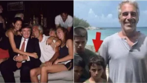 Gigi Hadid Tegaskan Tidak Ada Hubungan dengan Jeffrey Epstein, Klarifikasi Lengkap