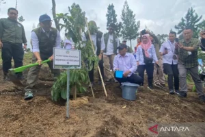 Hari Bumi: 100 Gayam Ditanam di Sungai Sileng Borobudur—Strategi Ampuh Cegah Abrasi!