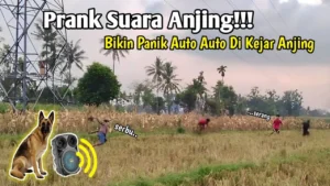 Pilot AS Bikin Suara Kucing & Anjing di Radio ATC, FAA Selidiki Kontroversi