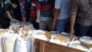 Rahasia RI Siap Hadapi El Nino Godzilla: Stok Beras Aman Sampai 15 Bulan & Strategi Tersembunyi