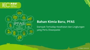 Skandal PFAS Lululemon: Dampak Besar bagi Konsumen dan Lingkungan