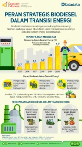 Terungkap! INDEF: Biofuel Jadi Jembatan Transisi Menuju Kendaraan Listrik – Solusi Energi Hijau Indonesia