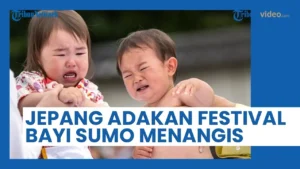 Unik! Festival Bayi Menangis Jepang: Balita Adu Kencang Teriak yang Bikin Penasaran