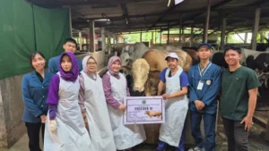 352 Dosen dan Mahasiswa Kedokteran Hewan USK Mengawasi Hewan Kurban