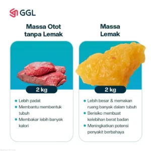 6 Manfaat Massa Otot Tinggi dan Lemak Perut Rendah untuk Kesehatan Otak