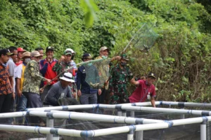 Aksi Penangkapan Ikan Sapu-Sapu di Kabupaten Bogor: Apa yang Perlu Diketahui?