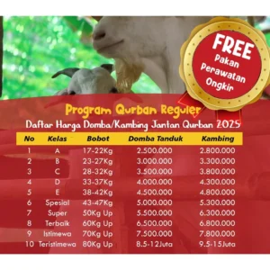 Harga Kambing dan Sapi Kurban 2026 di Yogyakarta: Simak Daftar Harga Terbaru!