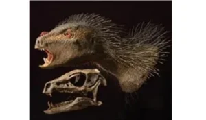 Mengenal Pegomastax africanus: Dinosaurus Vampir Pemakan Tumbuhan