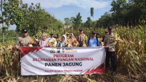Polres Purwakarta Panen Jagung, Meningkatkan Ketahanan Pangan Nasional