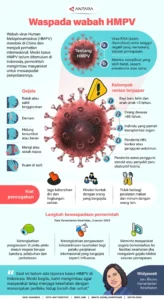 Pria di Swiss Kena Wabah Hantavirus: Bagaimana Bisa Tertular?