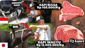 Rahasia Mengejutkan Kenapa Harga Wagyu Jepang Sangat Mahal? Ini Penjelasan Pakar Genetika IPB