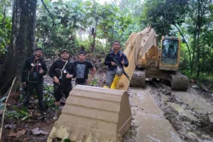 Tambang Ilegal Mengancam Nyawa, Mengapa Penambang Emas Perlu Urus Izin?