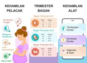 Terungkap! Perimenopause Mulai Usia Berapa & Masih Bisa Hamil? Risiko & Tips Penting yang Harus Anda Tahu