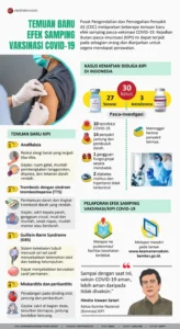 Viral Hantavirus Disebut Efek Samping Vaksin Covid, Benarkah?