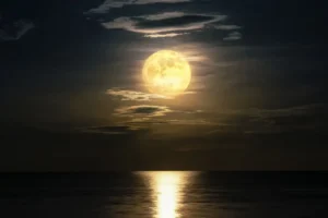 6 Alasan Mengapa Bulan Tampak Terang di Langit Malam Menurut NASA