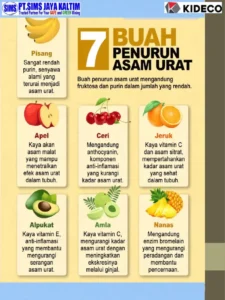 Benarkah Fruktosa dalam Buah Bisa Memicu Asam Urat? Ini Penjelasan Profesor IPB