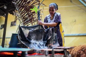 Foto Melihat Pembuatan Sagu Tradisional di Tulehu Maluku: Kunci Keberhasilan Produsen Lokal