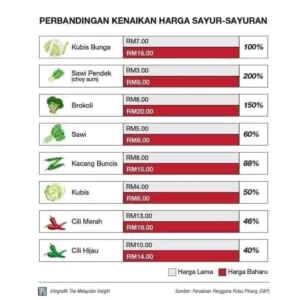 Harga Sayuran Naik Akibat Fenomena Aneh di Warteg? BPS Ungkap Faktanya