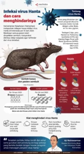Hoaks Hantavirus 2026 Sudah Diprediksi Sejak 2022: Apa Faktanya?