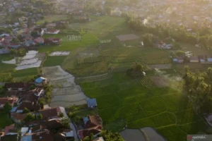 Pemkot Padang Tegaskan Keseimbangan Lahan Pertanian dan Investasi