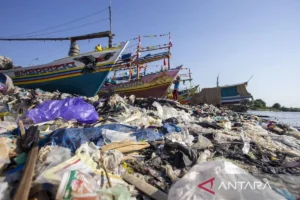 Petaka Sampah Plastik Laut: Pendapatan Nelayan Terkuras, Nyawa Jadi Taruhan