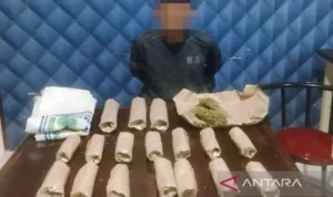 Polres Aceh Barat Tangkap Nelayan Terduga Pengedar Ganja Kering 751 Gram