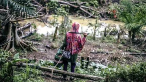 Potret Perempuan Suku Balik Bertahan di Tengah Pembangunan IKN: Kisah yang Terpinggirkan