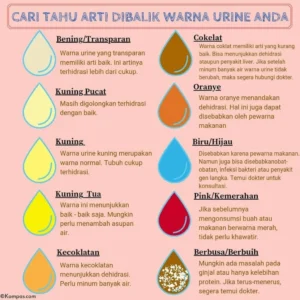 Urine Merah hingga Cokelat: Tanda Awal Penyakit Ginjal Serius yang Tidak Boleh Diabaikan
