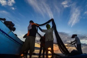 Banyuwangi Dipilih Jadi Panggung Diplomasi Laut ASEAN dan Negara Pasifik: Peluang Emas bagi Ekonomi Biru
