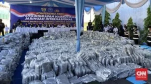 BNN Sebut Kuncup Ganja 3.37 Ton di Gresik Dijadikan Cairan Vape: Pelaku Terancam Mengancam Generasi Muda