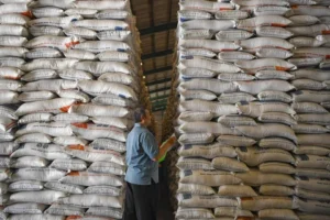 Bulog Catat Cadangan Beras Pemerintah Capai 5,4 Juta Ton: Apa Faktanya?