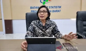 Ekspor Papua Barat Daya Anjlok 66,24 Persen: Apa Sebabnya?