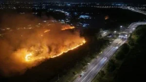 FOTO Kebakaran Lahan di Sisi Gerbang Tol Kramasan Ogan Ilir Sumsel