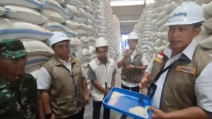 Hadapi El Nino, Bulog Siapkan 17 Ribu Ton Beras