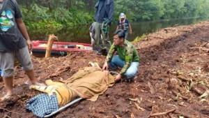 Jatuh Korban Tim BBKSDA Riau: Misi Penangkapan Harimau Sumatra