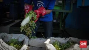 Pemprov DKI Siapkan Lahan di Legok Banten untuk Olah Sampah Organik