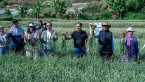 Polri Patahkan Stigma Lawan Impor Sukses Tanam Bawang Putih di Lombok: Inovasi Pertanian yang Menginspirasi