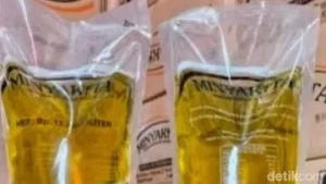 Tersangka Timbun Ribuan Dus Minyakita: Apa yang Dimaksud Minyakita dan Dampaknya?