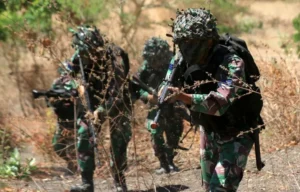 TNI Hentikan Sementara Latihan Militer di Pasuruan: Apa Sebabnya?