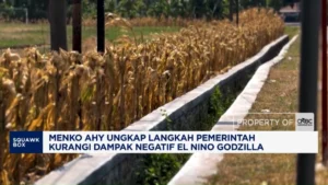 Video AHY Ungkap Langkah Kurangi Dampak Negatif El Nino Godzilla