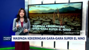 Video Waspada Kekeringan Gara-Gara Super El Nino: Apa yang Terjadi?