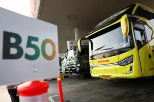 Dampak Implementasi B50 pada Ekspor CPO: Apa yang Dikatakan BPS?