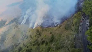 FOTO Berjibaku Tangani Karhutla di Kawasan Bromo