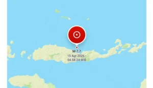 Gempa 7.7 Magnitudo Guncang Nagekeo NTT, BMKG Keluarkan Peringatan Dini Tsunami