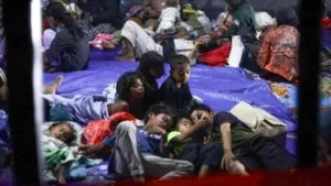 Gempa NTT: 5.000 Lebih Warga Mengungsi, Apa Saja Fakta Utama?