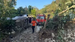 Gempa NTT Terbaru: Akses Jalan Darat Dibuka, 48 Orang Tewas