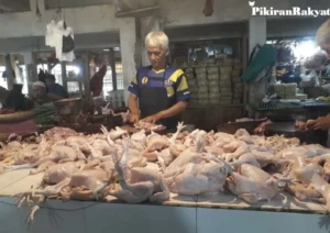 Harga Daging Ayam Broiler Melonjak di Kota Sukabumi