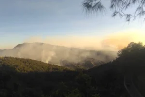 Hutan Gunung Bromo Terbakar: 3 Jalur Wisata Ditutup, Apa yang Perlu Diketahui?