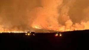 Karhutla di Indonesia: 107 Ribu Hektare Terbakar hingga Agustus 2026